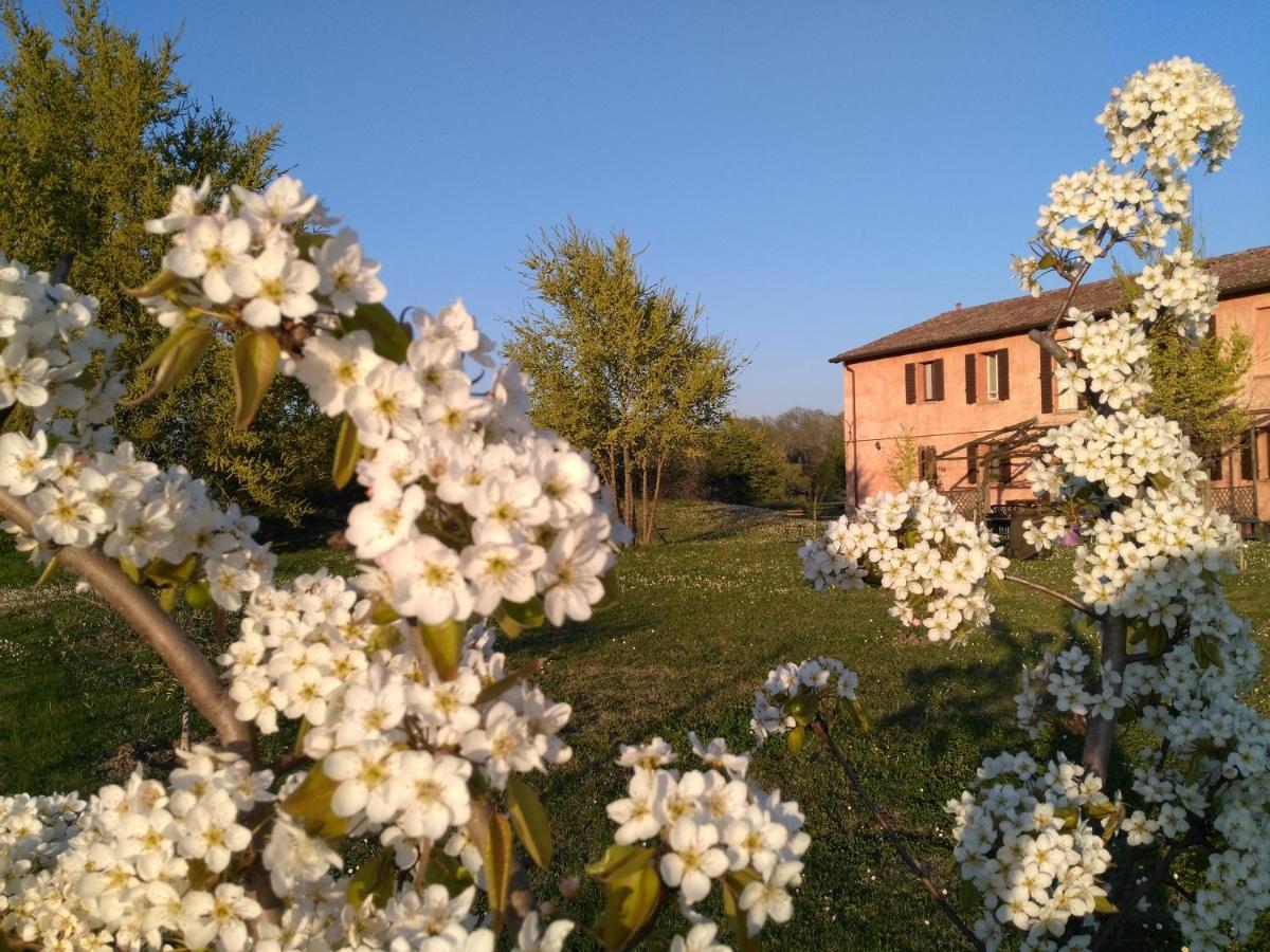 Agriturismo La Lenticchia Fratta Terme Exterior foto
